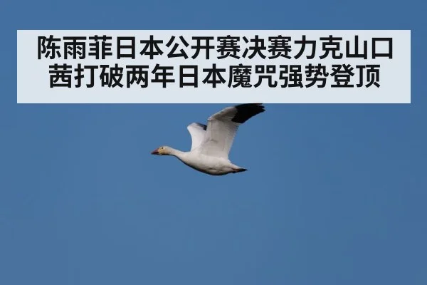 Chen Yufei celebration