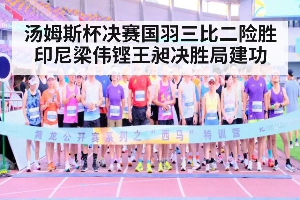 汤姆斯杯决赛国羽三比二险胜印尼梁伟铿王昶决胜局建功
