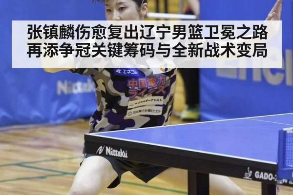 张镇麟伤愈复出辽宁男篮卫冕之路再添争冠关键筹码与全新战术变局